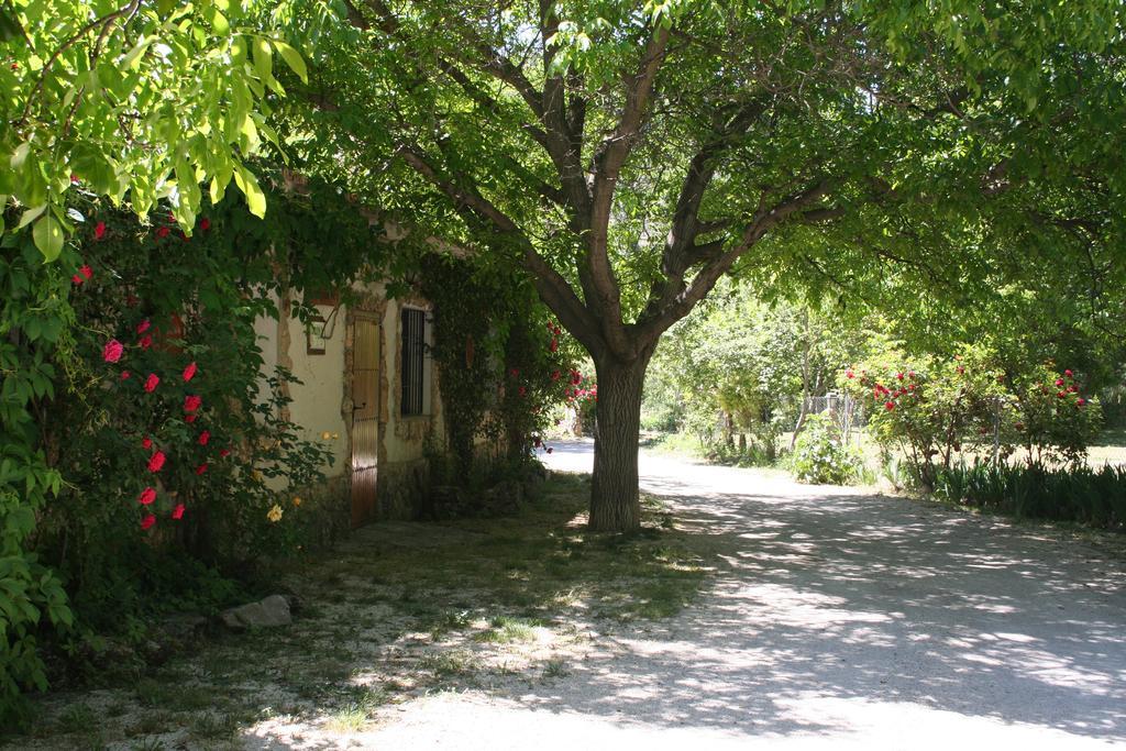 Casas Rurales Los Enebros Nerpio Εξωτερικό φωτογραφία