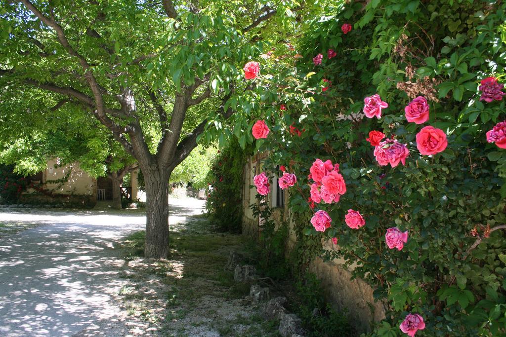 Casas Rurales Los Enebros Nerpio Εξωτερικό φωτογραφία