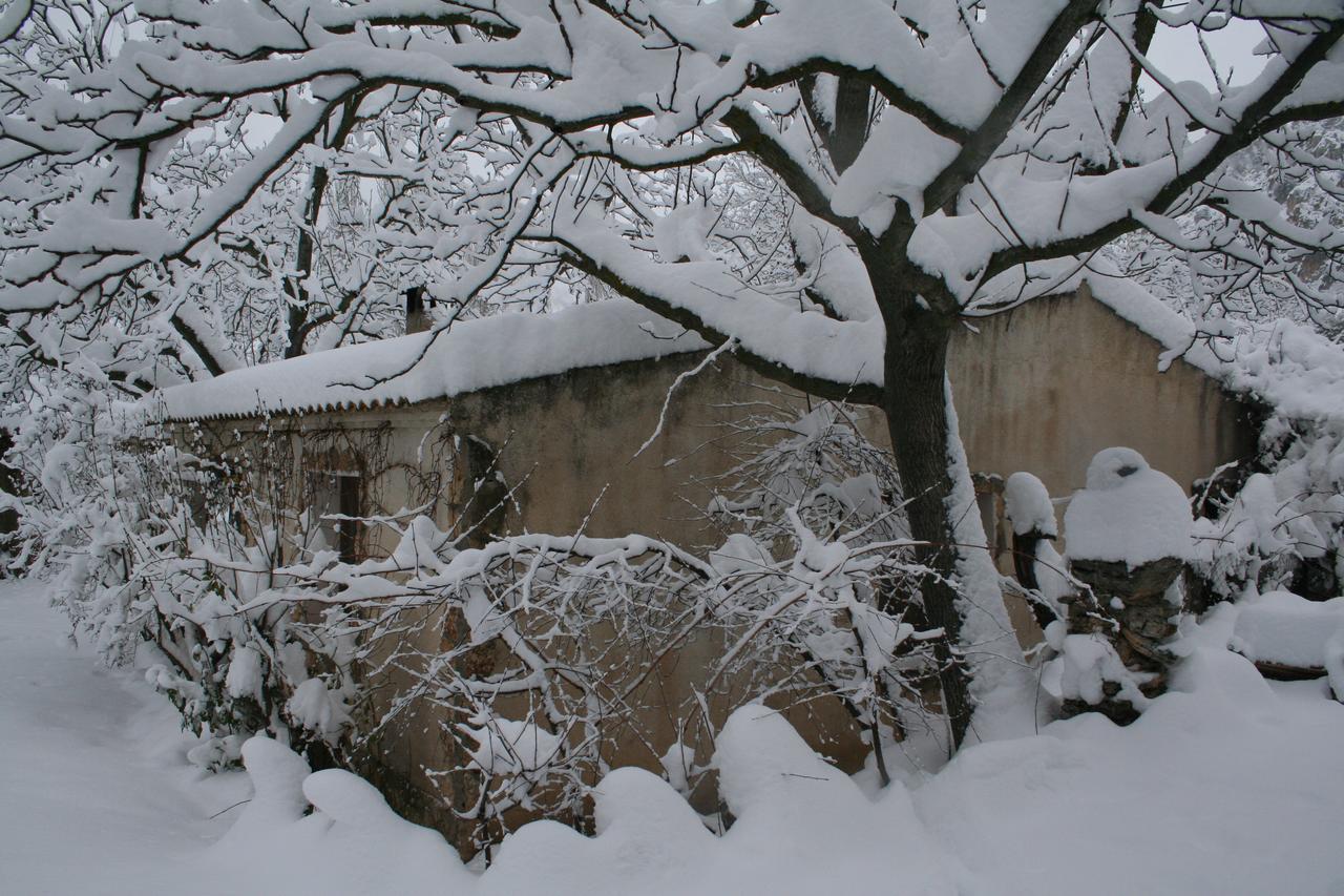 Casas Rurales Los Enebros Nerpio Εξωτερικό φωτογραφία